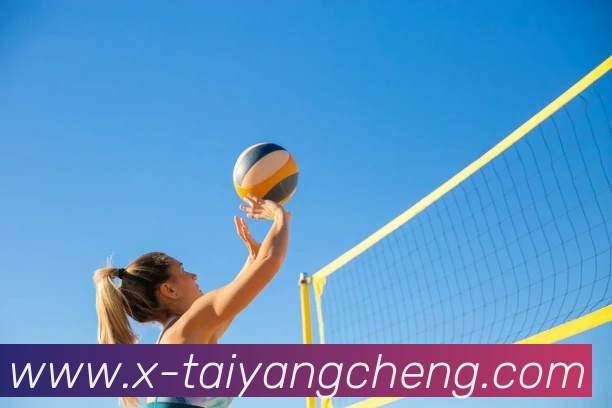 太阳城网站APP 体育赛事宣传图